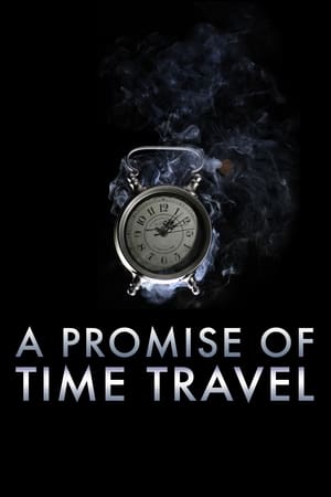 A Promise of Time Travel 2016 Hindi Dual Audio 300MB HD Poster Download - filmyfly