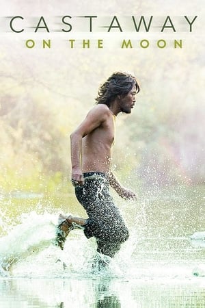 Castaway on the Moon (2009) Hindi (UnOfficial Audio) Dual Audio 350MB HD Poster Download - filmyfly