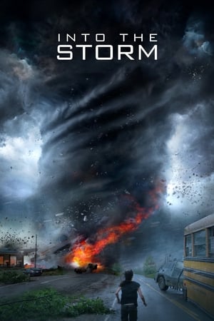 Into the Storm (2014) Hindi Dual Audio [1GB]