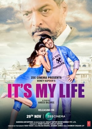 It’s My Life (2020) Hindi Movie [1.2GB] HD Poster Download - filmyfly