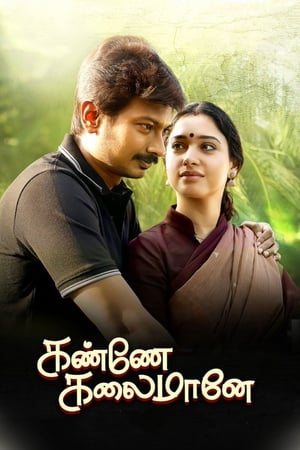 Kanne Kalaimaane 2019 (Hindi - Tamil) Dual Audio 450MB HD Poster Download - filmyfly