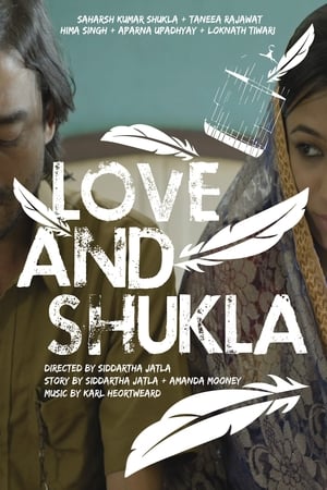 Love and Shukla (2017) Hindi Movie [900MB] HD Poster Download - filmyfly