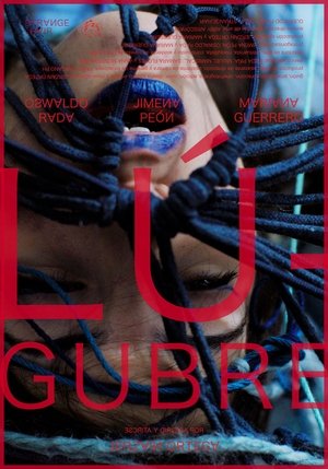 Lúgubre (2024) Hindi (MULTI AUDIO) – –