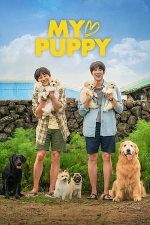 My Heart Puppy (2022) Hindi Dual Audio – HD Poster Download - filmyfly