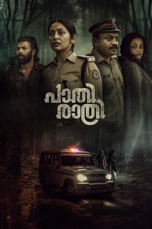 Paathirathri (2025) Hindi (MULTI AUDIO) – – HD Poster Download - filmyfly