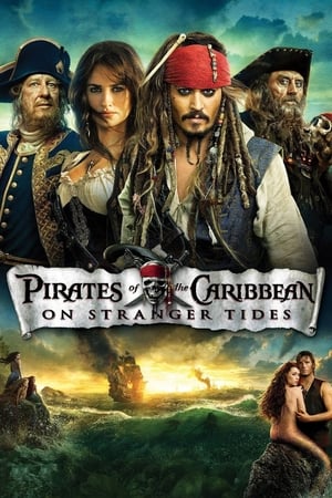Pirates of the Caribbean On Stranger Tides (2011) 100mb Hindi Dual Audio movie Download HD Poster Download - filmyfly