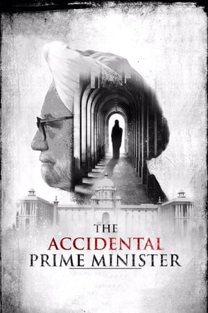 The Accidental Prime Minister (2019) Hindi Movie [1GB] HD Poster Download - filmyfly