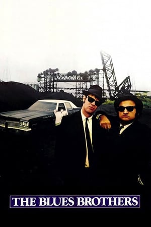 The Blues Brothers (1980) Hindi Dual Audio Movie - 1.2GB HD Poster Download - filmyfly
