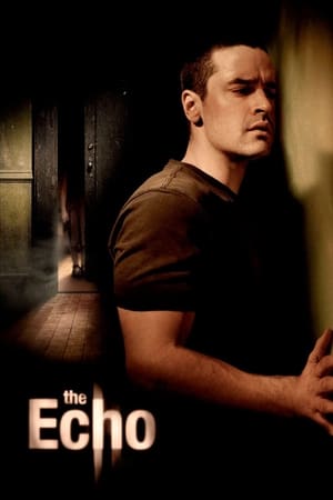 The Echo (2008) Hindi Dual Audio [900MB]