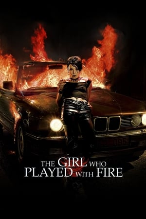 The Girl Who Played with Fire (2009) Hindi Dual Audio 330MB HD Poster Download - filmyfly