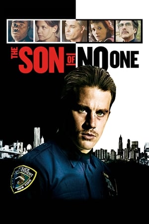 The Son of No One (2011) Hindi Dual Audio [900MB] HD Poster Download - filmyfly