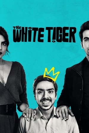 The White Tiger (2021) Hindi Movie [990MB]