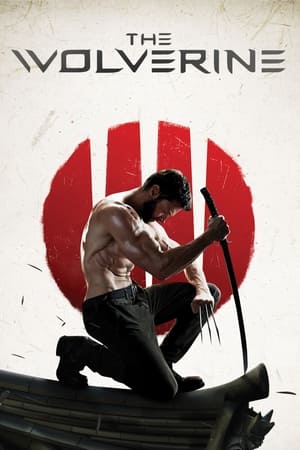 The Wolverine (2013) Hindi Dual Audio 430MB