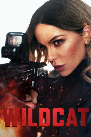 Wildcat (2025) Hindi (MULTI AUDIO) – – HD Poster Download - filmyfly