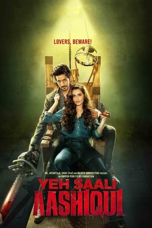 Yeh Saali Aashiqui 2019 Hindi Movie [1GB] HD Poster Download - filmyfly